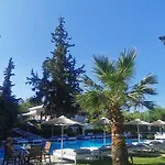 Trees Art Hotel