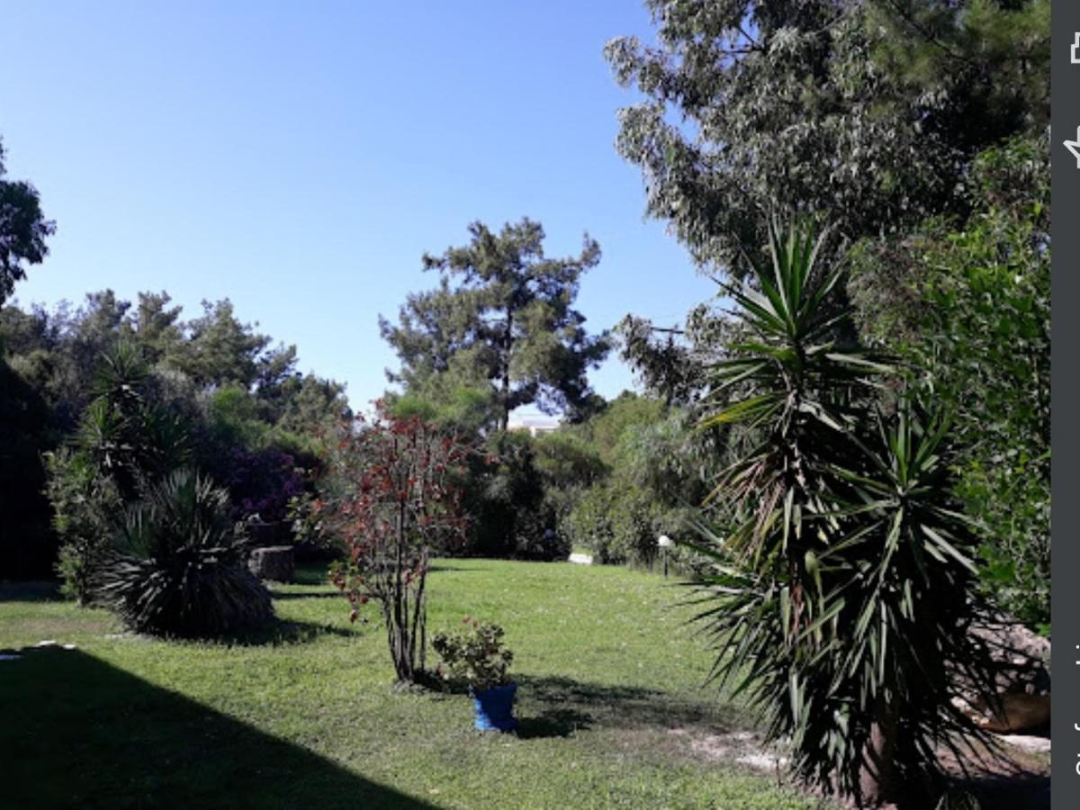 Trees Art Hotel Ialysos (Rhodes)